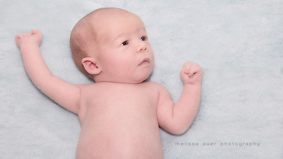 ... newborn photographer / melissa auer photography ... - 179