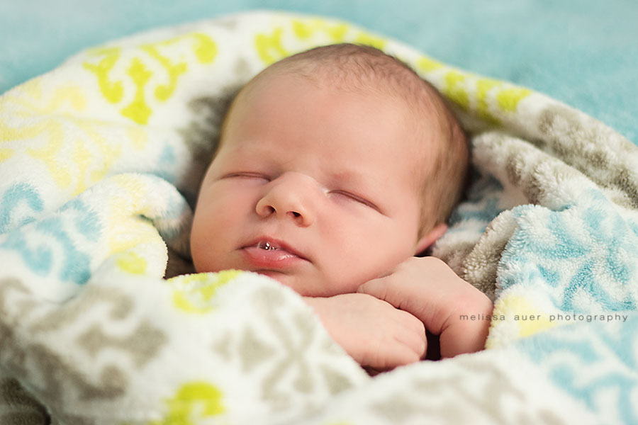 Maple Ridge newborn photographer / Melissa Auer Photography ... - 001