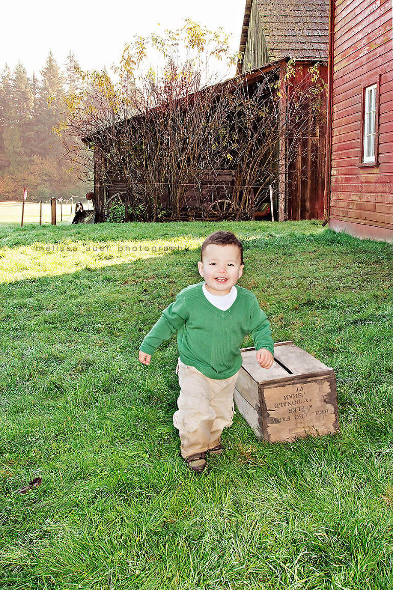 little cutie / melissa auer photography 2013