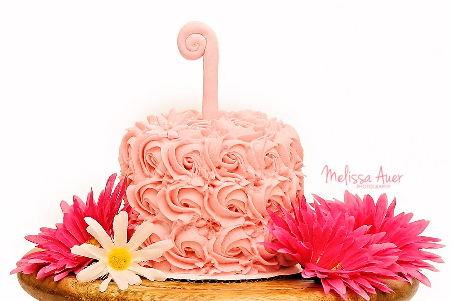 cake smash - Copyright Melissa Auer Photography 2014