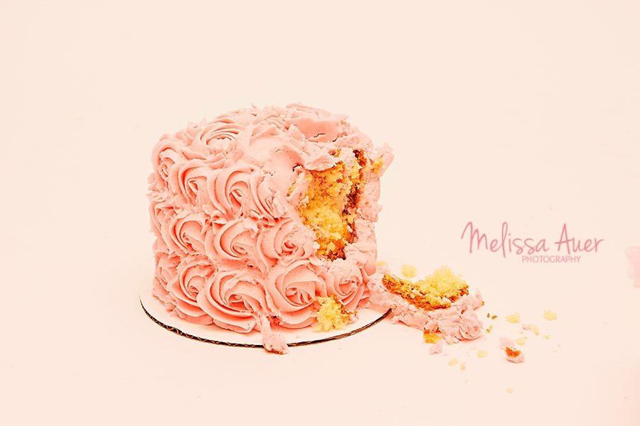 cake smash - copyright Melissa Auer Photography 2014