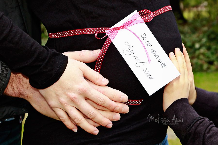 maternity / melissa auer photography copyright 2014