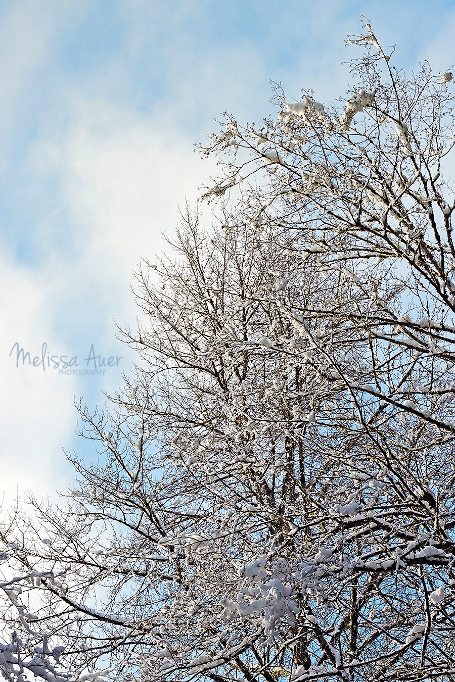 inspired - Melissa Auer Photography 2014