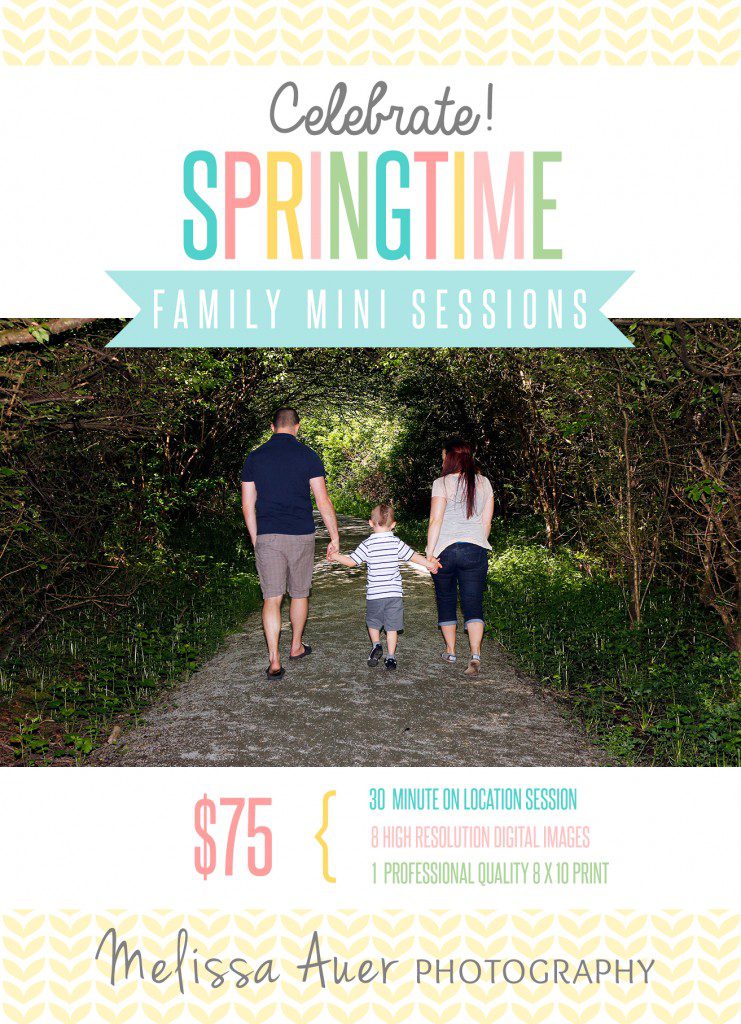Spring Mini Sessions