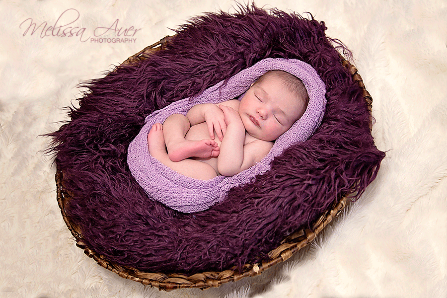 newborn - Melissa Auer Photography