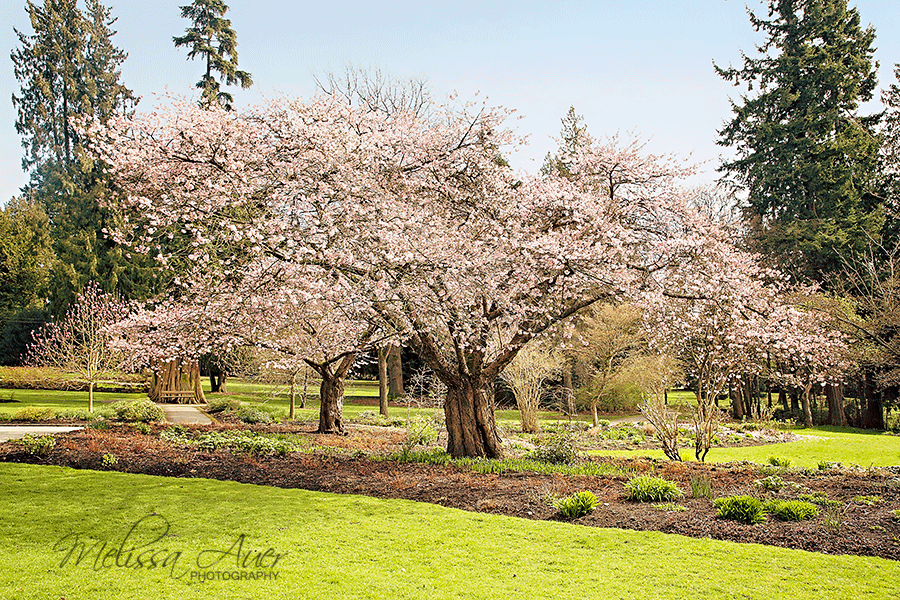 Spring Mini Sessions / Melissa Auer Photography