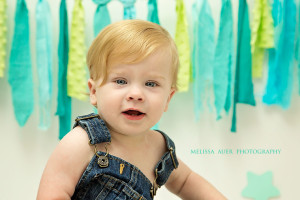 From Newborn to Cake Smash //  Melissa Auer Photography // Maple Ridge, BC, Canada