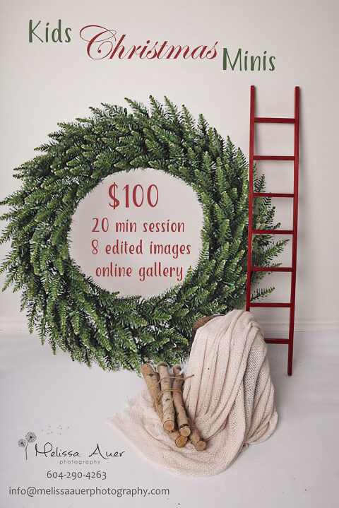 Christmas mini sessions by Melissa Auer Photography / post - I built this